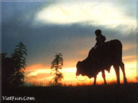 Viet Nam: peasant scene